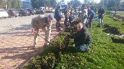 В Ростовской области прошел День древонасаждения